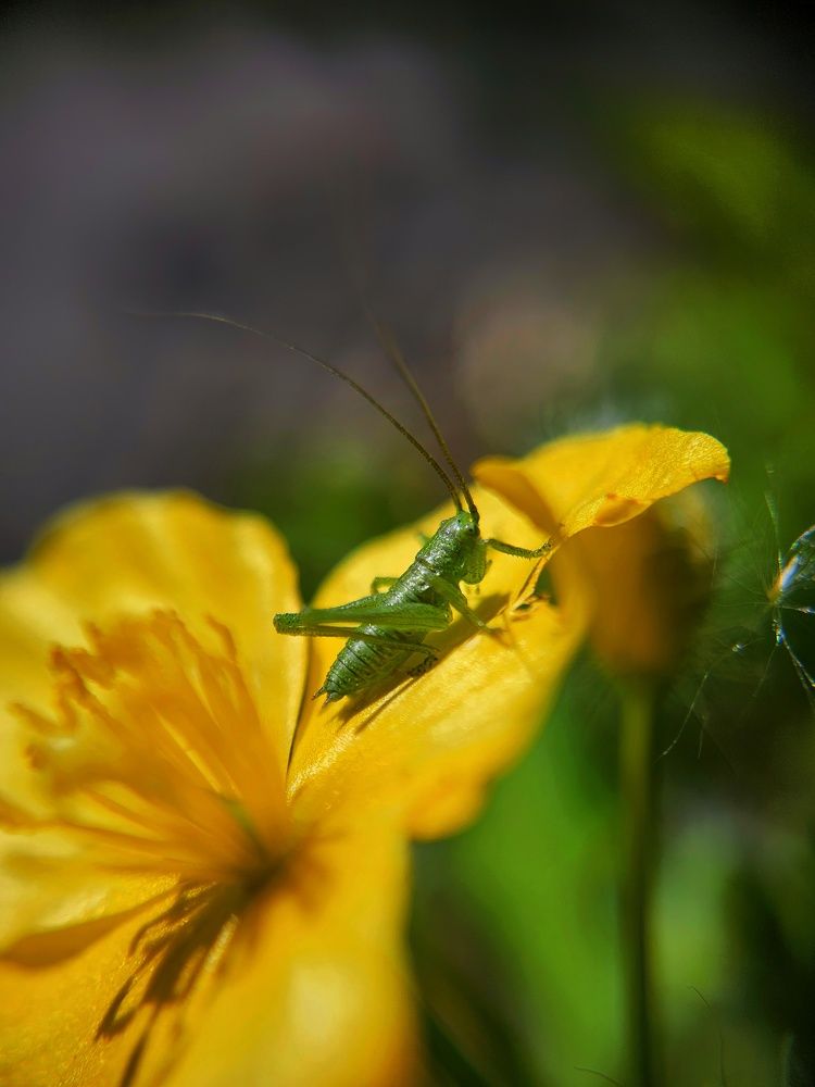 Photograph by Ольга Веселова