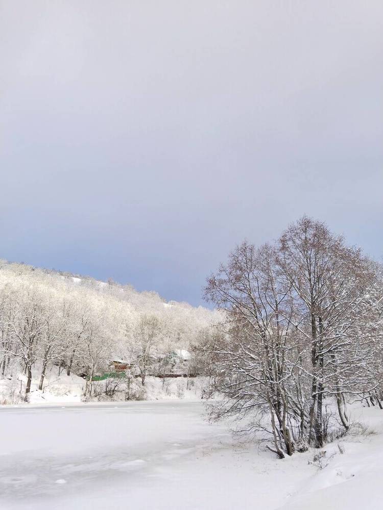Photo #11377493