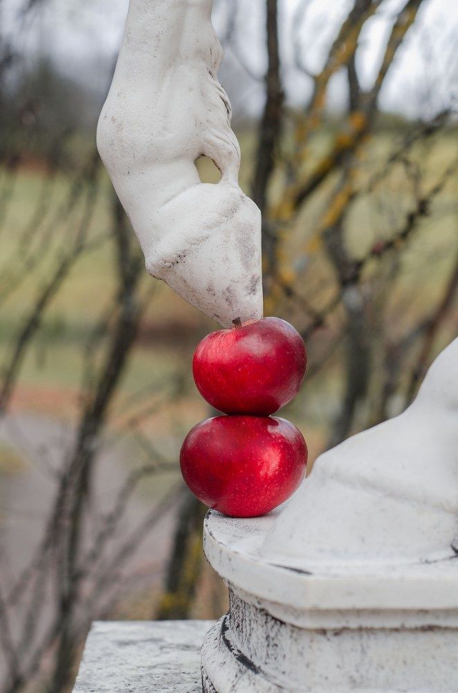 Photograph by Юлия Сидорова