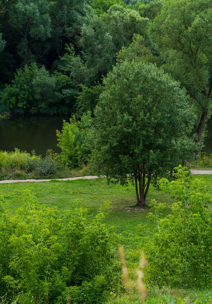 Фотография автора Василиса Новикова