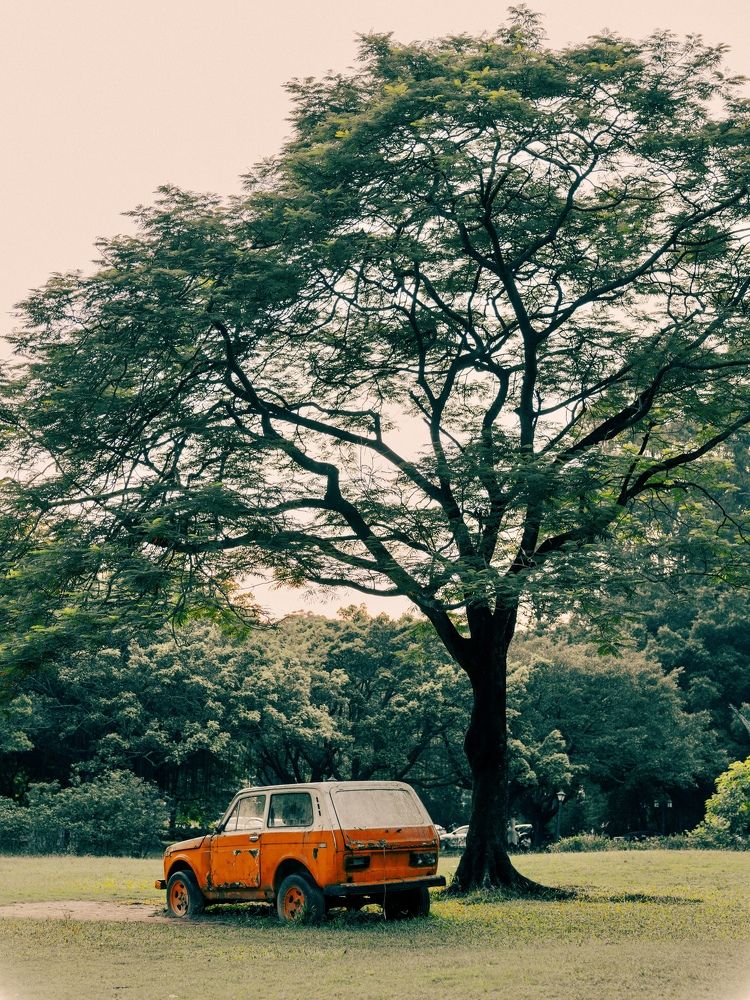 Photograph by Maxim Voronov