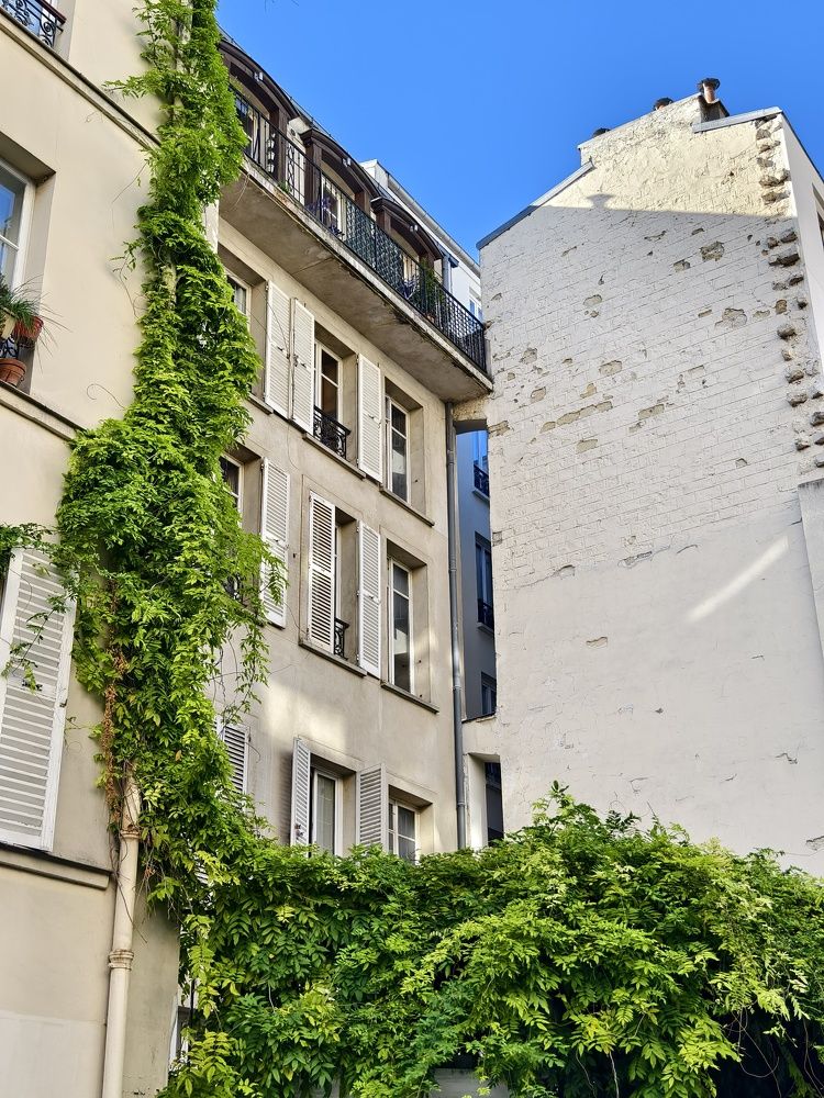 Photograph by Светлана Мишенина