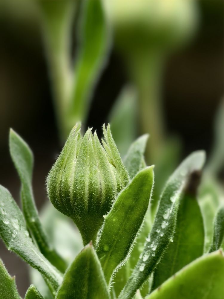 Photograph by Светлана Мишенина