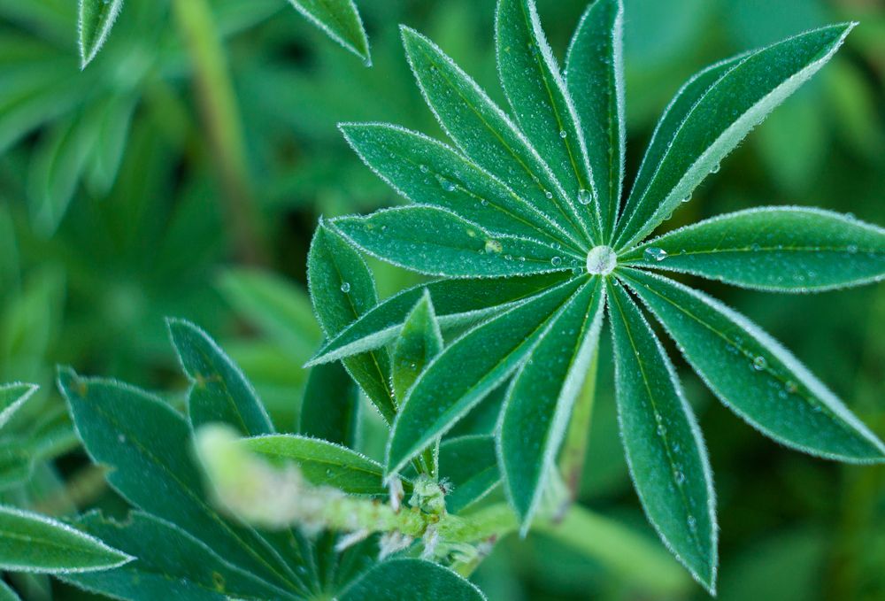 Photograph by Анна Евдокименко