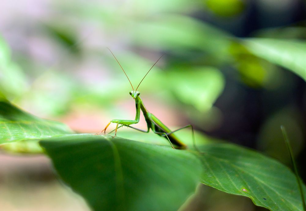 Photograph by Анна Евдокименко
