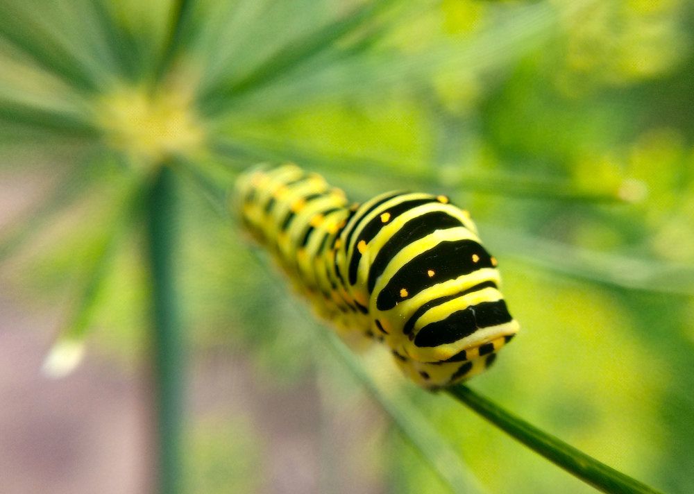 Photograph by Анна Евдокименко