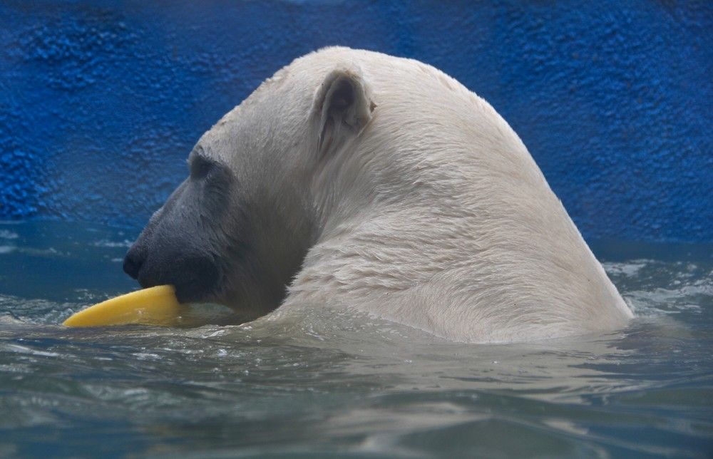 Фотография автора Наталия Мащенко