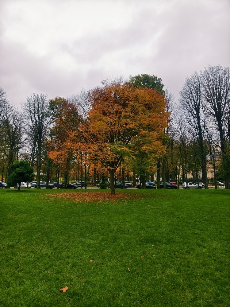 Photograph by Светлана Мишенина