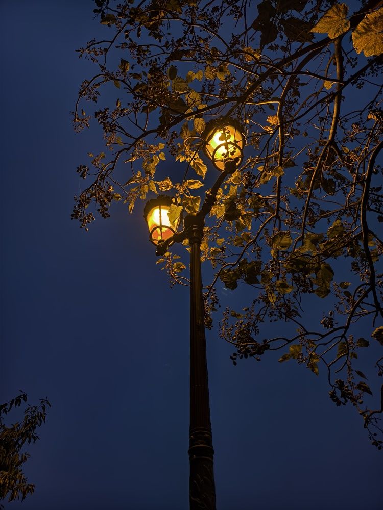 Photograph by Светлана Мишенина