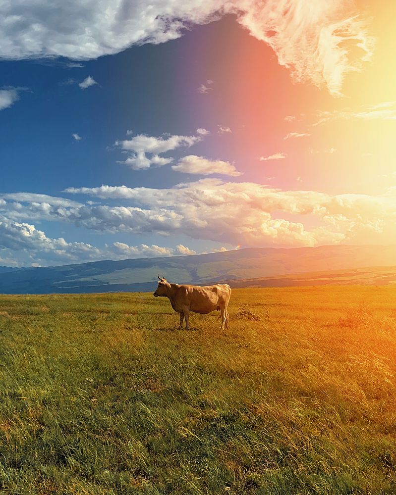 Photograph by Марат Болатханов