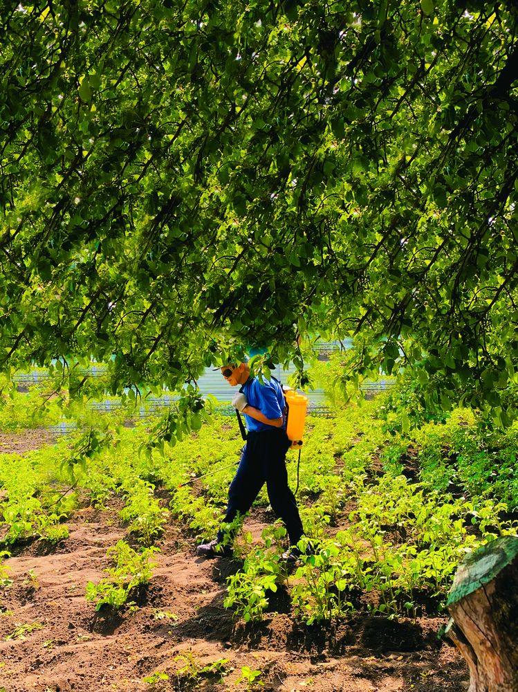 Photograph by Марат Болатханов