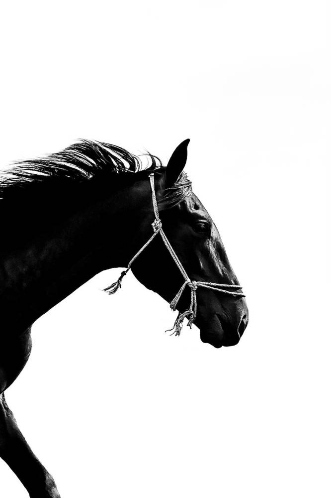 Photograph by Марат Болатханов