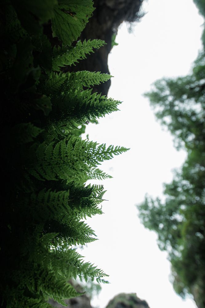 Photograph by Никита Павлов