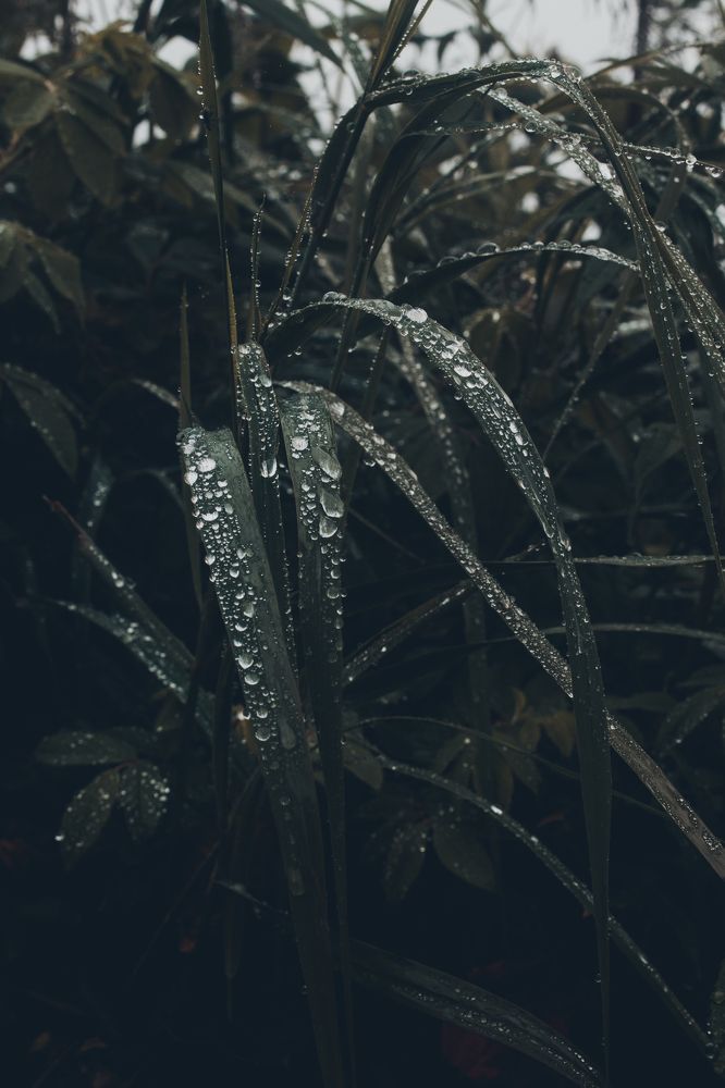 Photograph by Anna Turks