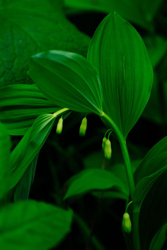 Photograph by Anna Turks