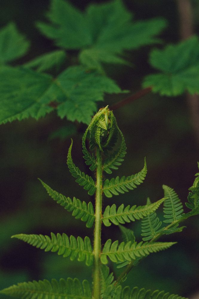 Photograph by Anna Turks