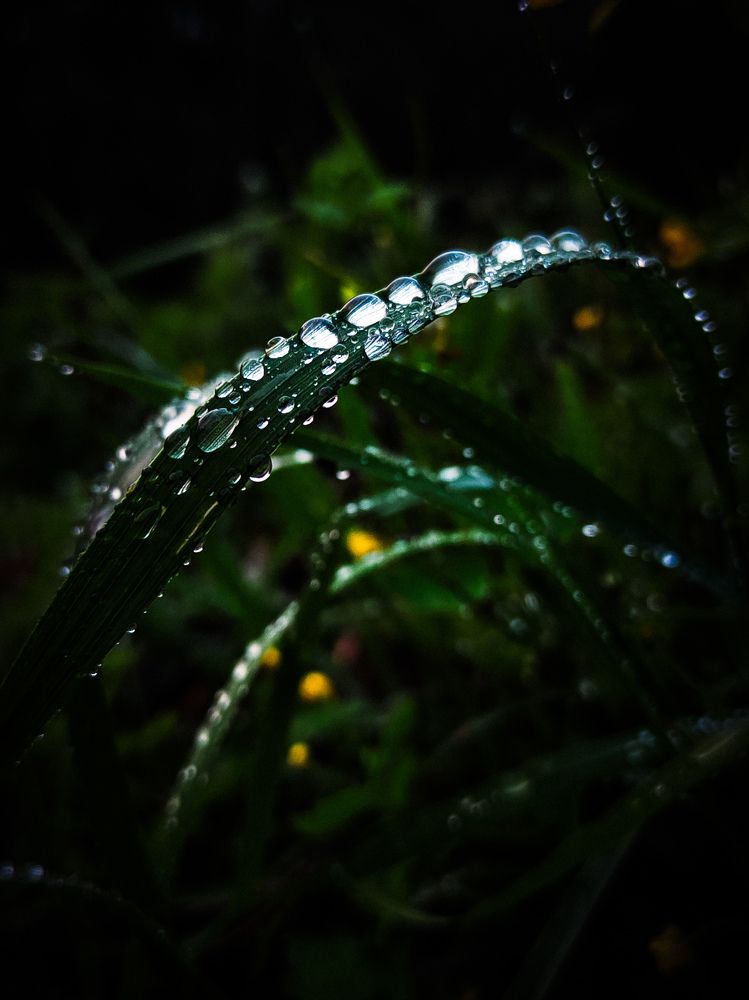 Photograph by Гульнара Зиангирова