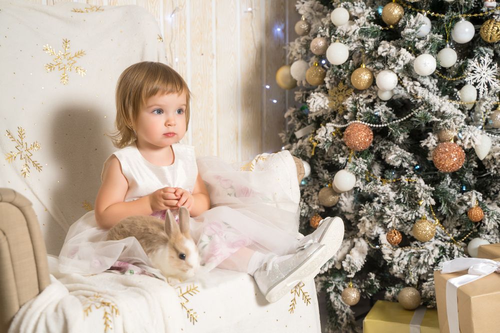 Фотография автора Василиса Новикова