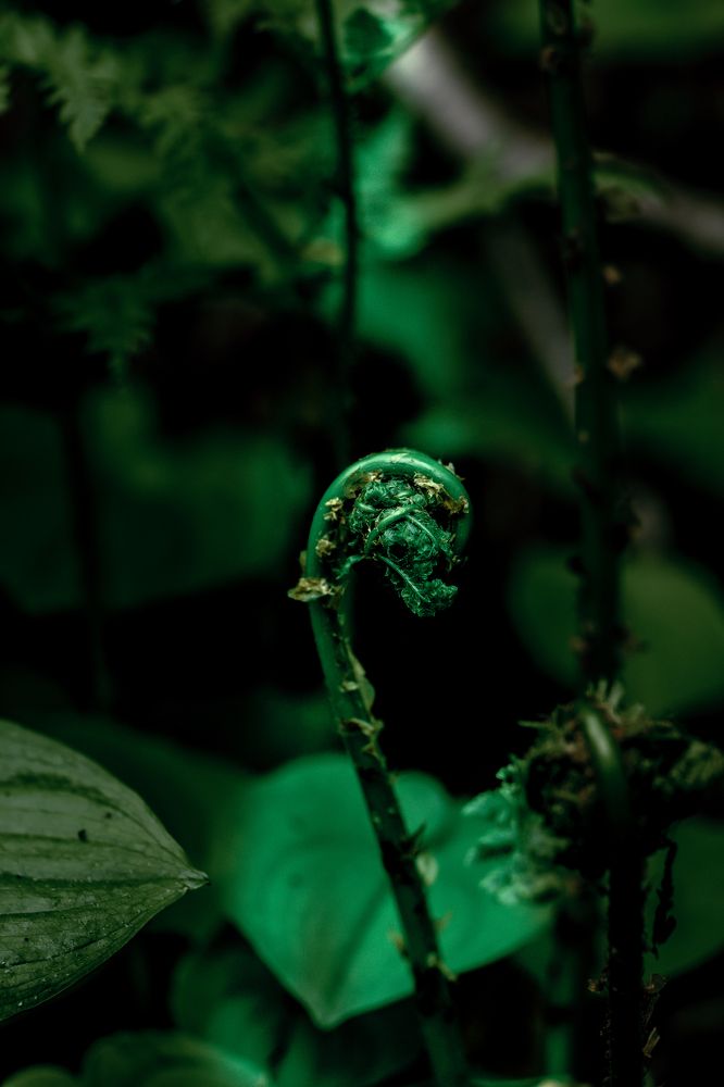 Photograph by Anna Turks