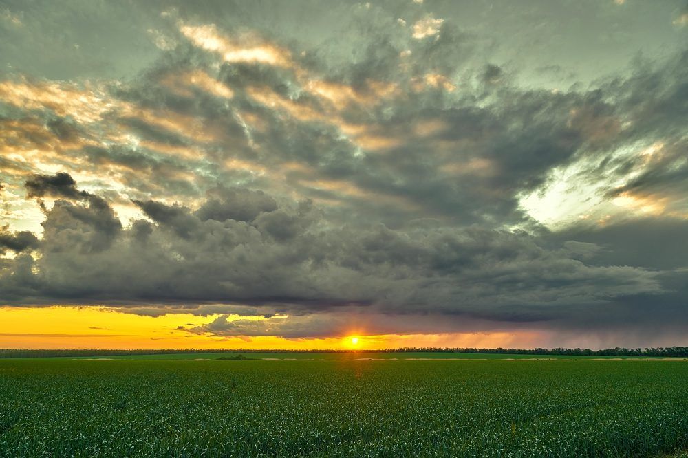 Закат в полях