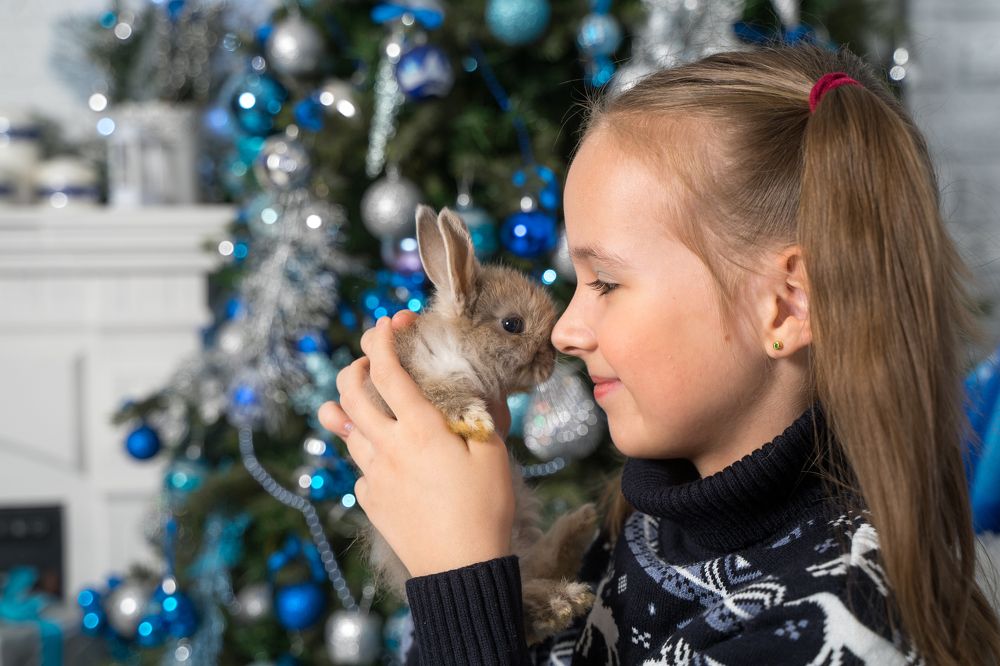 Фотография автора Василиса Новикова