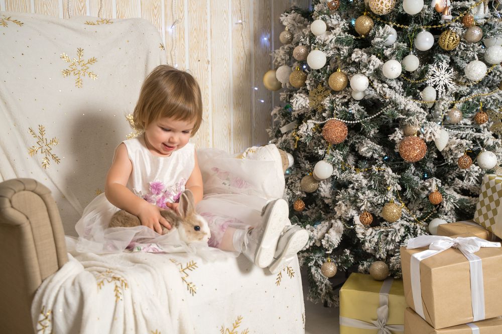 Фотография автора Василиса Новикова