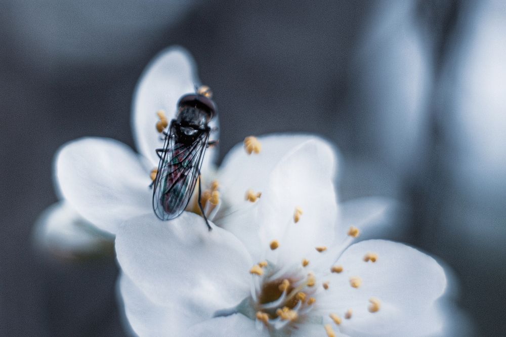 Photograph by Magic Helios