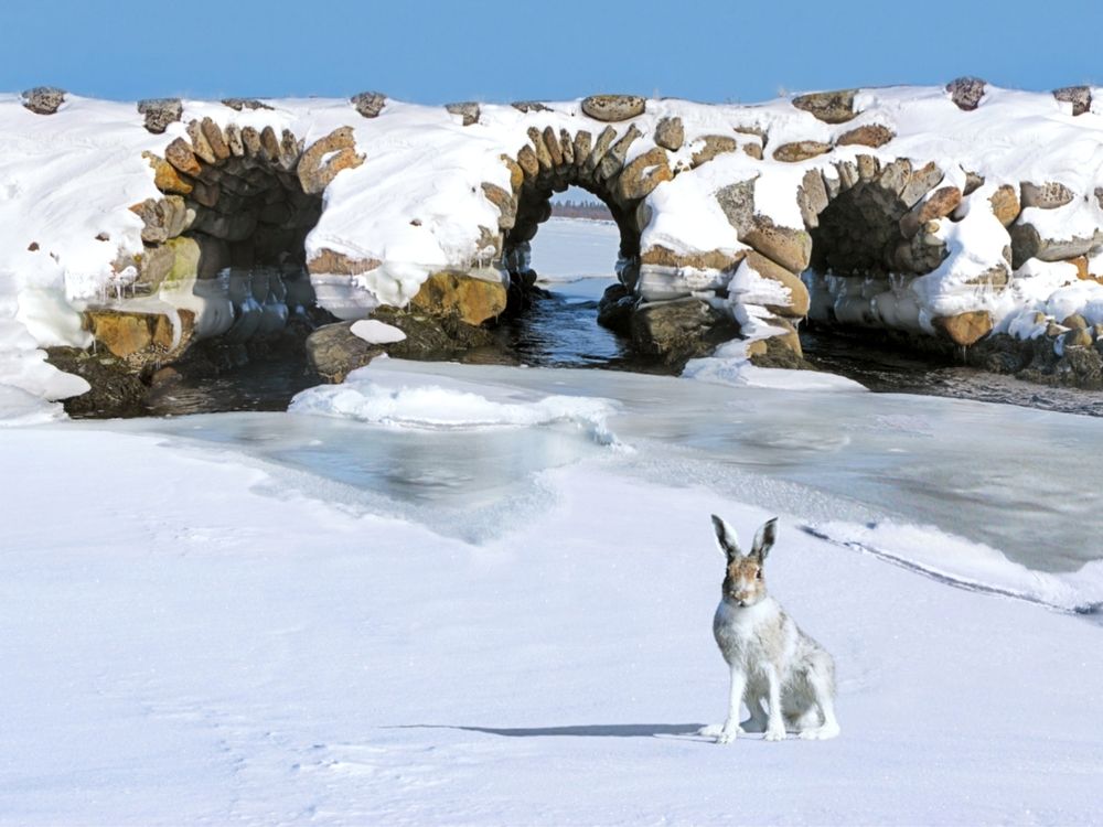 На Муксалме