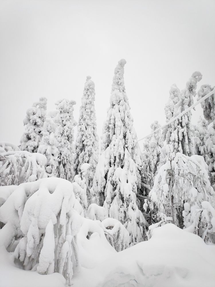 Photograph by Aleksandr Kolonsky