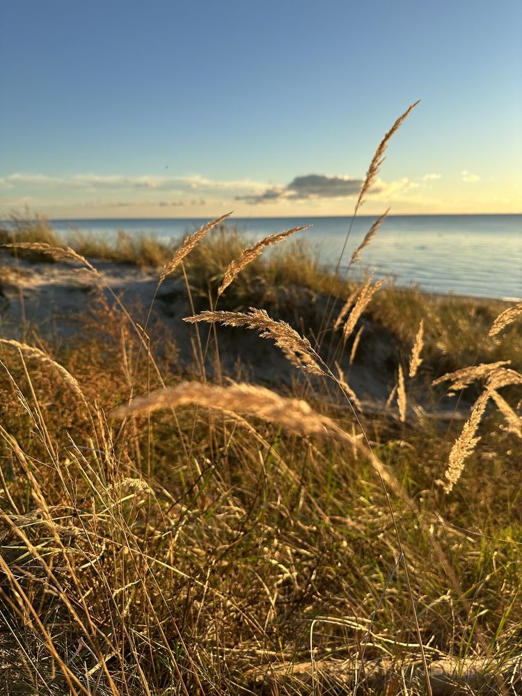 Photograph by Jekaterina Michejeva