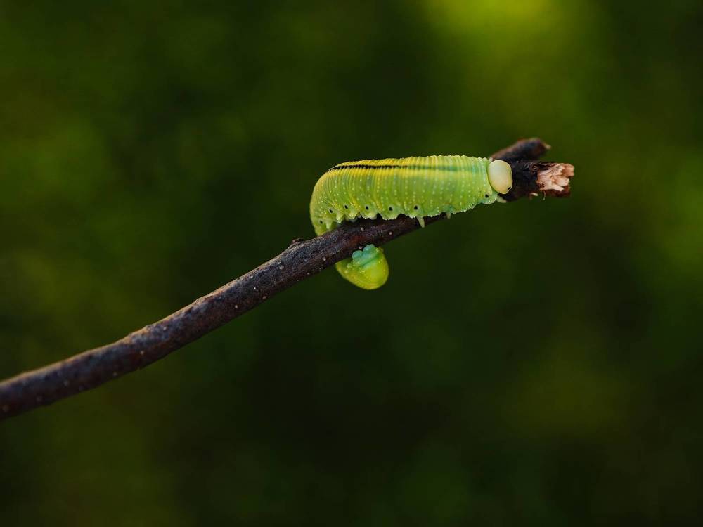 Photograph by Гульнара Зиангирова