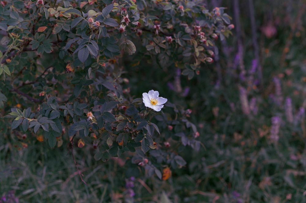 Photograph by Виталий Са