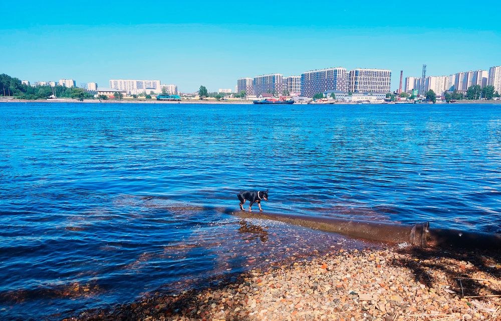 Photograph by Людмила Ваганова