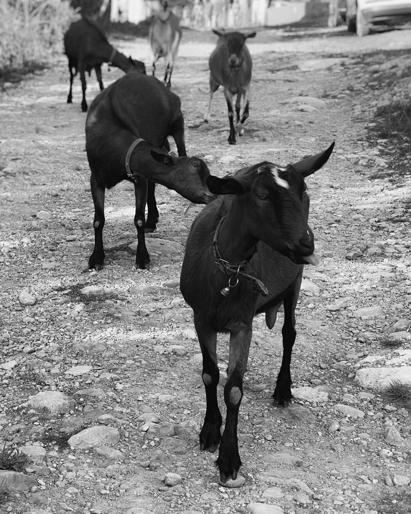 Photograph by Андрей Казаков