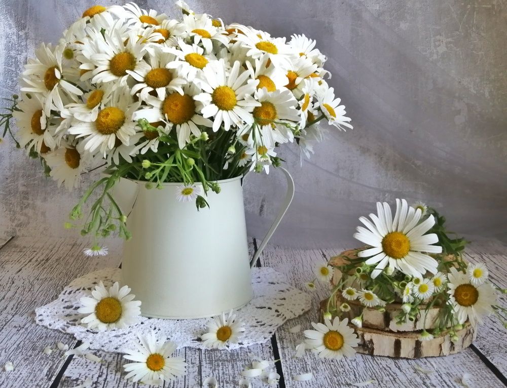 Фотография автора НАТАЛЬЯ СЕВЕР