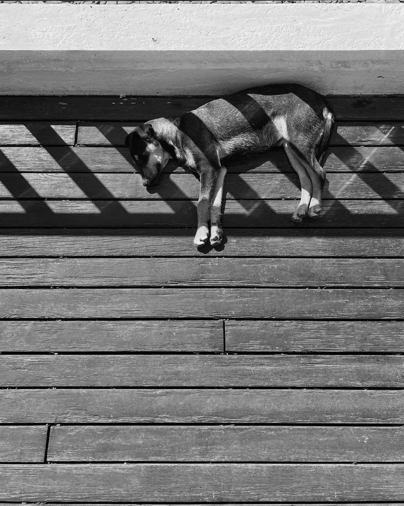 Photograph by Андрей Казаков