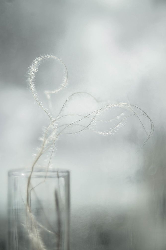 Photograph by Наталья Лещинская