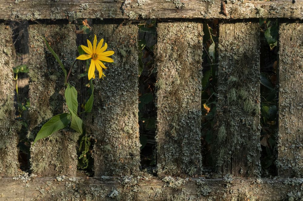 Photograph by ARTEM KORZHUKOV