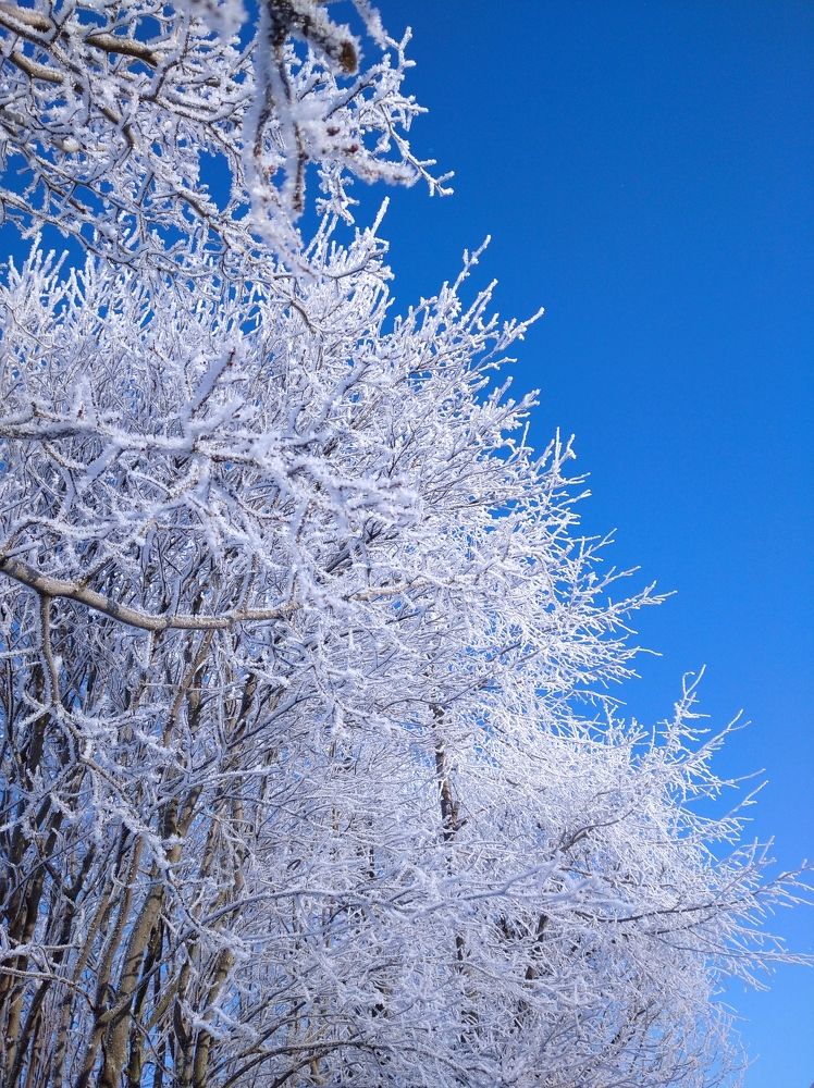 Photograph by Елена Коробченко