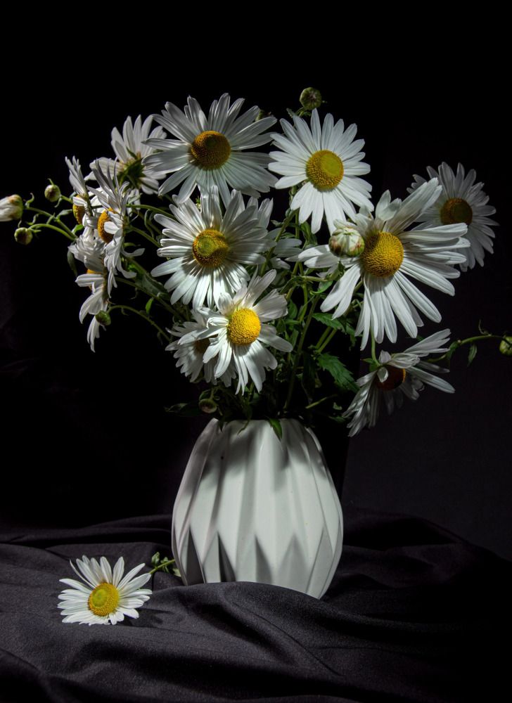 Photograph by Анна Васильева