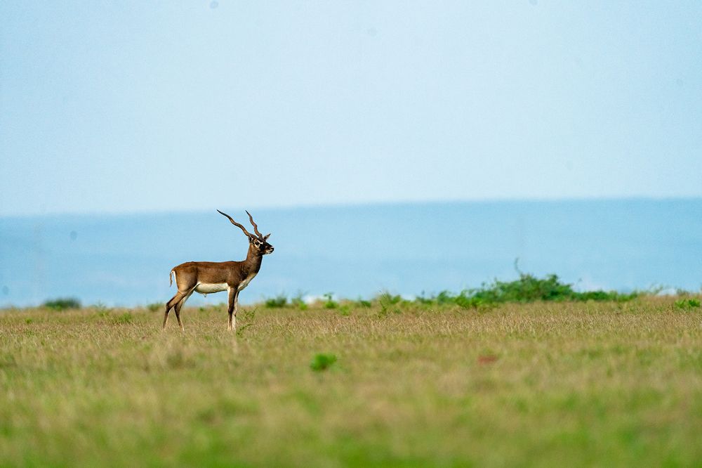 Photograph by Nikhil Parnandi