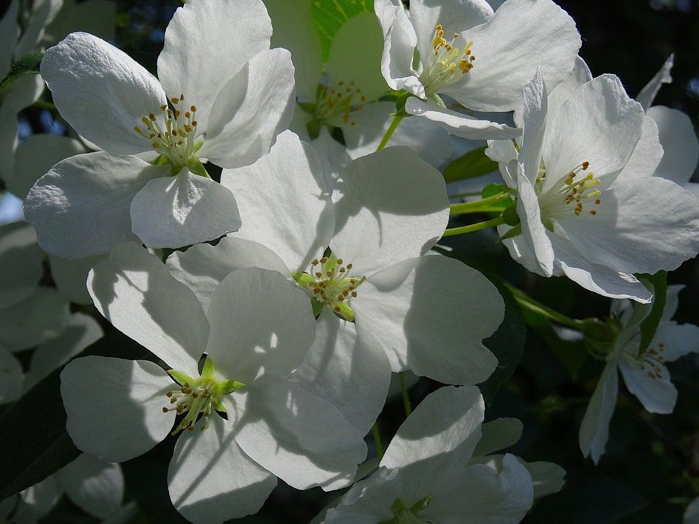 Photograph by Марина Раткун