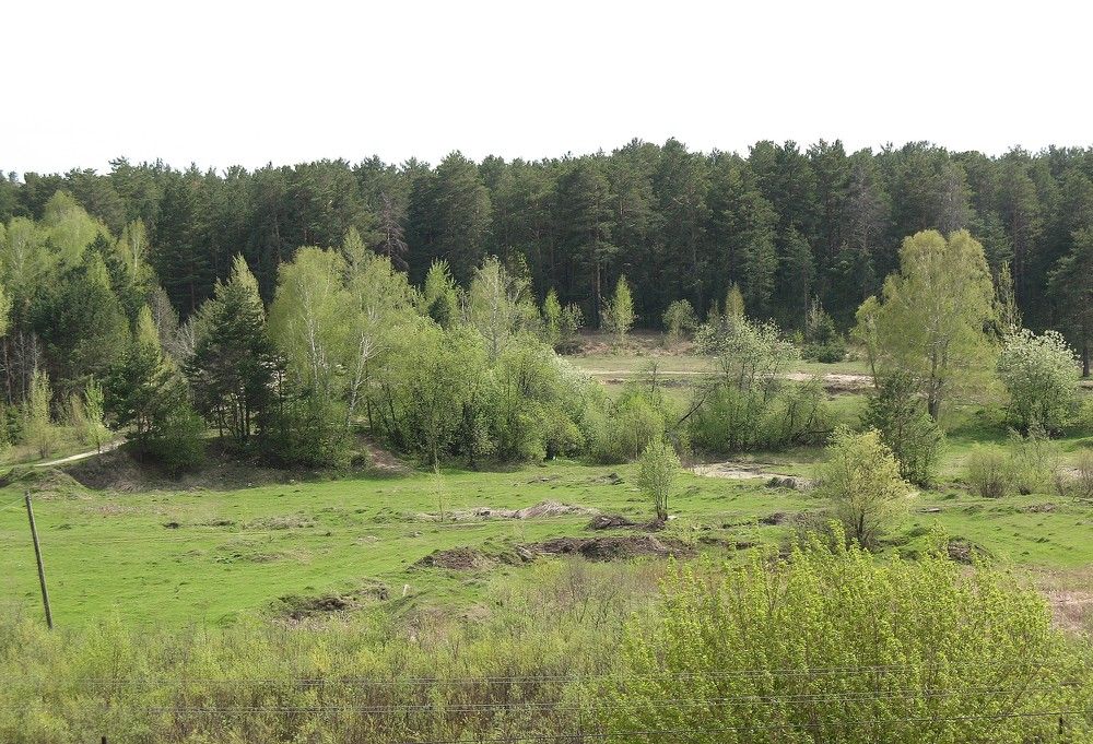 Photograph by Владимир