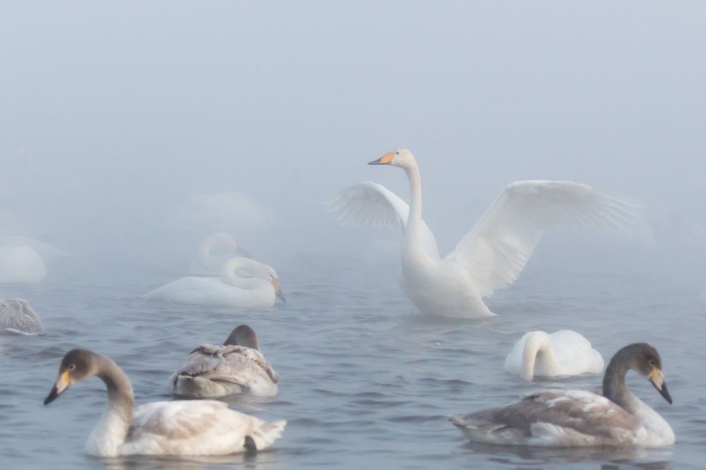 Photograph by Молоков Сергей