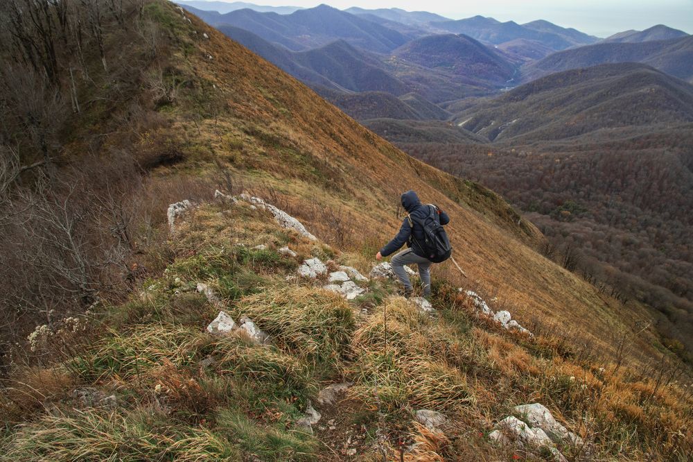 Photograph by Виталий Шкадинов