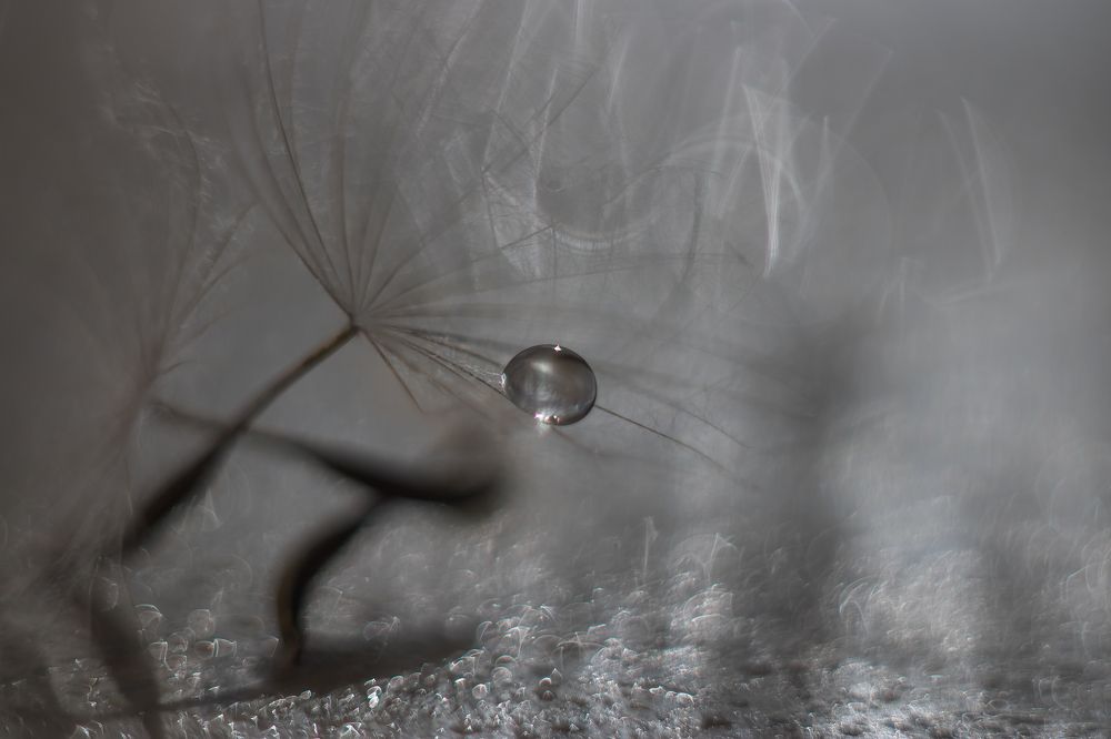 Photograph by Татьяна Байкова