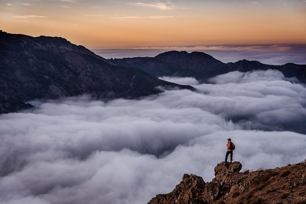 Photograph by Noureddine Belfethi