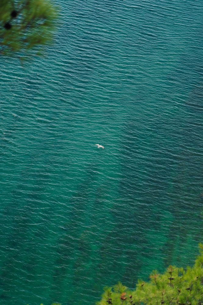 Photograph by Камиль Галеев