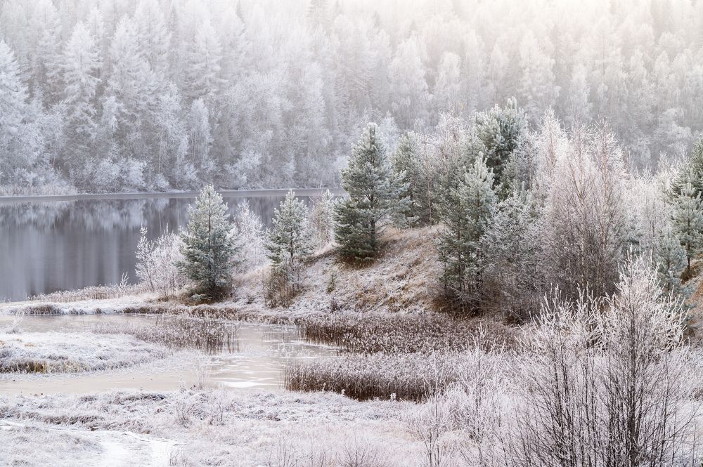 Photograph by Алексей Турчин