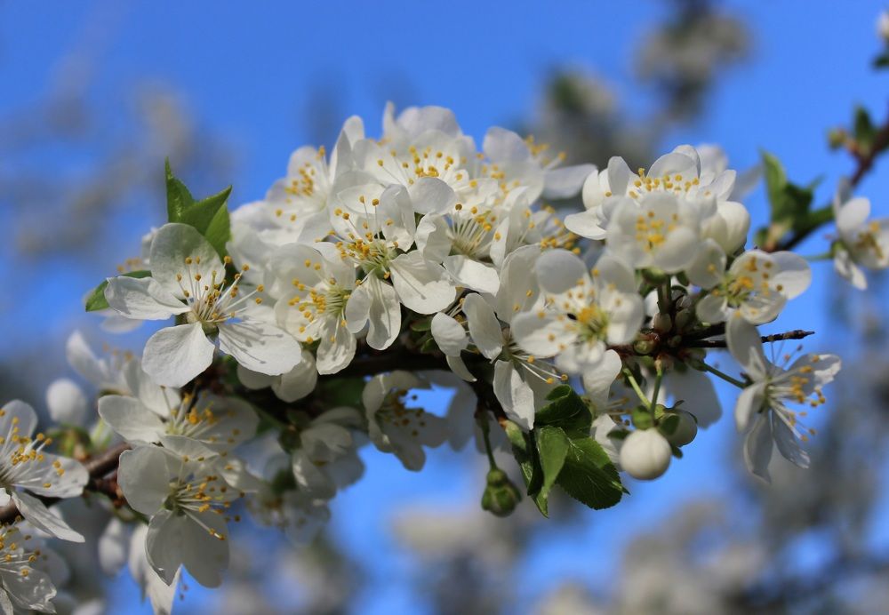 Photograph by Татьяна Сычёва